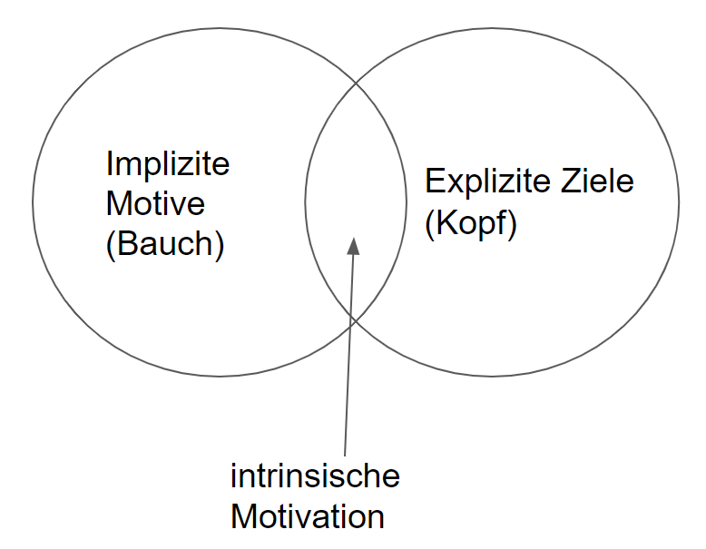intrinsische Motivation
